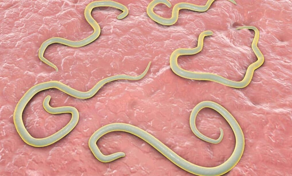 Würmer im menschlichen Körper